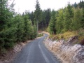 Lesní cesta Liščí